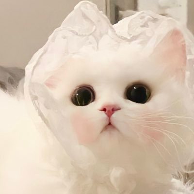 ทอแสงคลั่งรักยัยฟันกาตุ่ย ˘͈ᵕ˘͈'s profile picture