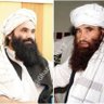 محمدابن بدری's profile picture