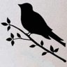Фото профиля تغريدات سودانية Sudanese tweets