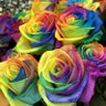 かーみ🌹 的头像