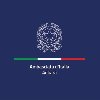 ItalyinTurkiye's profile picture