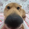 R e q's profile picture
