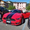 DAMIANO MAZZEO's profile picture
