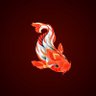amyger's profile picture