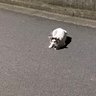 Фото профиля たくぼー