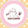 碧太 profil fotoğrafı