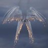 tvmalsv's profile picture
