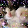 Profilbild von やまと猫