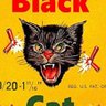 Black Cat profil fotoğrafı