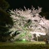 まさる 的头像