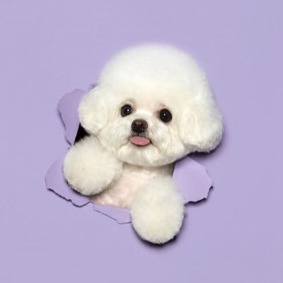 B's profile picture
