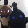 太陽とオーシャン時々宇宙 profil fotoğrafı