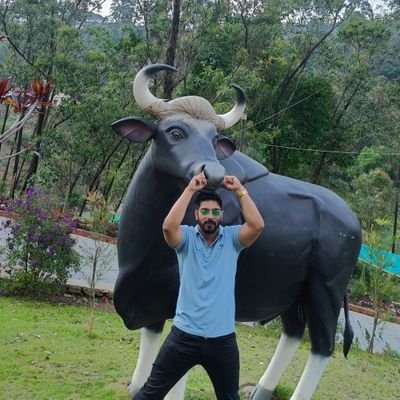 flyingbird308's profile picture