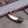 Hillary’s Shoe 的头像