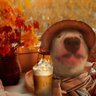 leo's profile picture