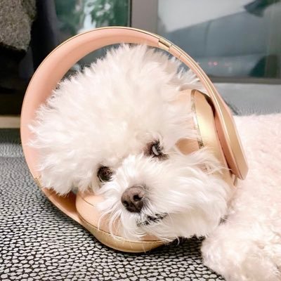 ◡̈ nessa's profile picture