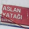 Profilbild von Aslan Yatağı