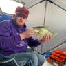 Profilbild von The Baltic Jammer