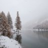 Фото профиля Lyly - NaturEnCevennes.com