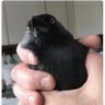 I bite's profile picture