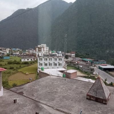 bhadrauli's profile picture
