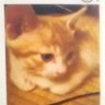 KIRA profil fotoğrafı