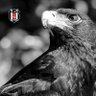 Profilbild von İyikiBeşiktaşlı