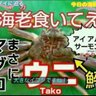 蟹🦀 的头像
