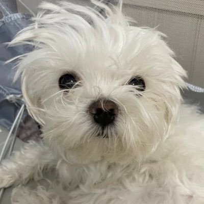 뚠's profile picture