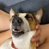 ゴウヨシ's profile picture
