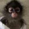 Profilbild von n e s s a