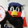 つばlove🐧 的头像