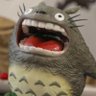 Profilbild von Lucas