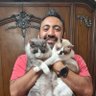 Mohammad Shenawy's profile picture