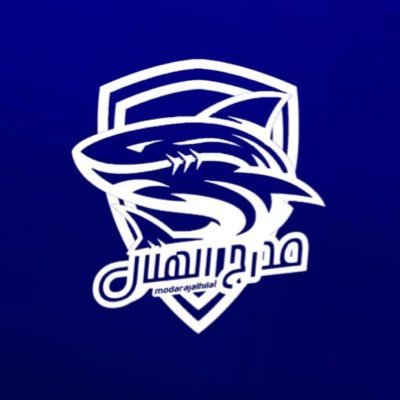 modarajalhilal's profile picture