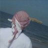 كلي فخر's profile picture