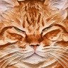 あーる's profile picture