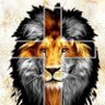 Profilbild von A_Mensagem