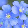 Karin Wagener's profile picture