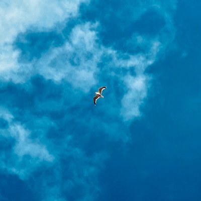 KalleKolumna's profile picture