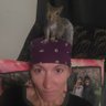 Kristina Lynn's profile picture