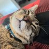 Jacka profil fotoğrafı