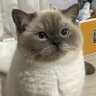 my name's profile picture