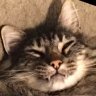 Profilbild von EJ