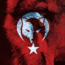 TÜRK 🇹🇷 𐱅𐰇𐰼𐰚 的头像