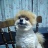 Фото профиля せーが