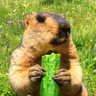 Profilbild von Ale Luis