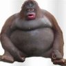 binet ponjaves's profile picture