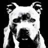 Profilbild von raah