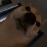 Profilbild von cam